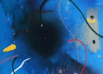 Ayrımcılıkla Mücadelede Umudu Aramak Waseem Ahmad Siddiqui ile Söyleşi – Didem Danış